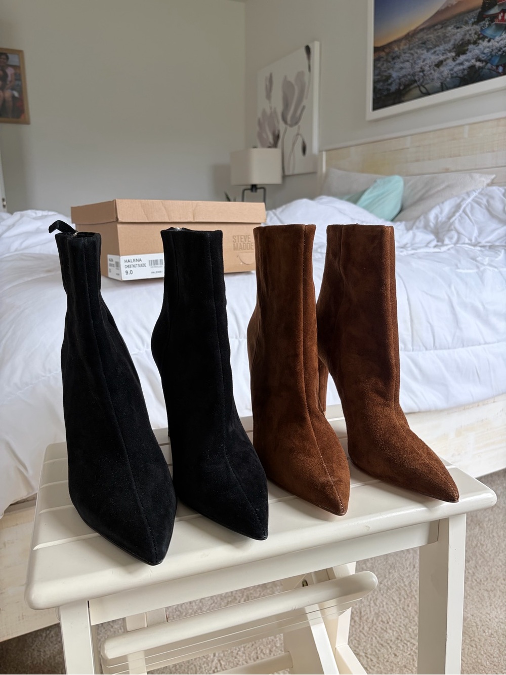 Bundle Steve Madden Two-Pair Suede Pointed Toe Ankle Boots — Black & Brown